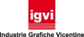 LOGO-IGVI